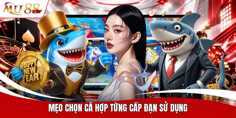 Mẹo chọn cá hợp từng cấp đạn sử dụng
