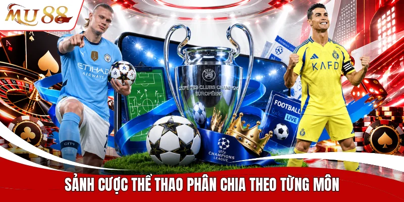 Sảnh cược thể thao phân chia theo từng môn