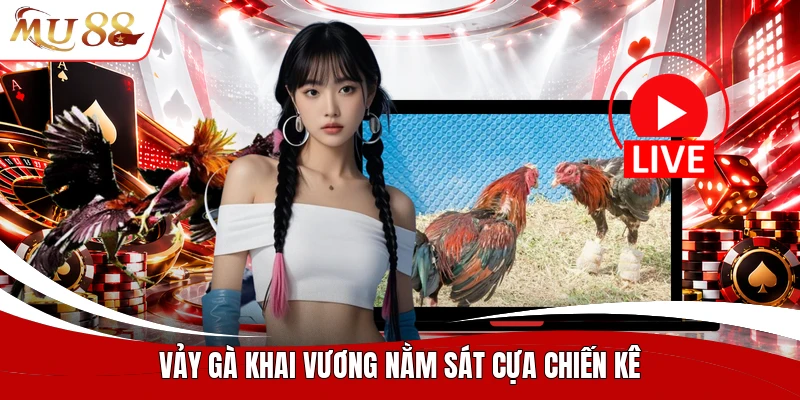 Vảy gà khai vương nằm sát cựa chiến kê
